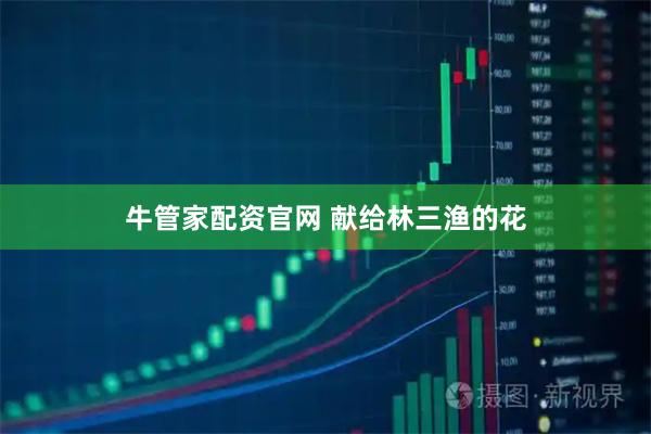 牛管家配资官网 献给林三渔的花