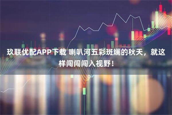 玖联优配APP下载 喇叭河五彩斑斓的秋天，就这样闯闯闯入视野！